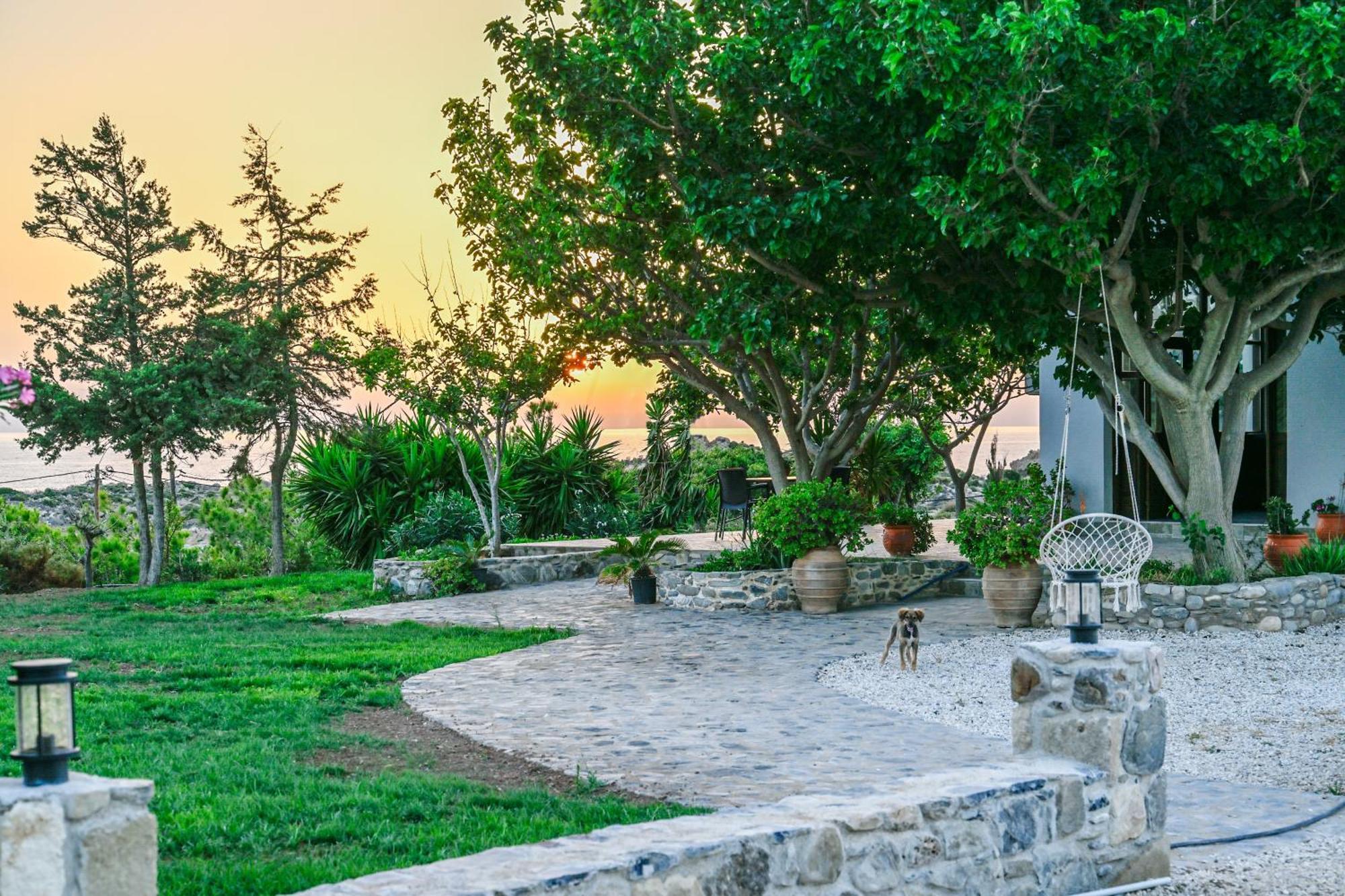 Panorama Daire Elafonisi Dış mekan fotoğraf
